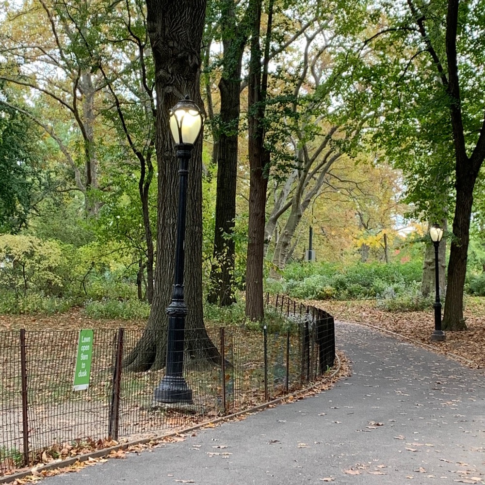 Meet your Posher, Ariella